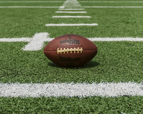Philadelphia Eagles take asset management to the cloud with Mimir and CHESA